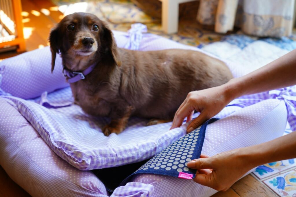 ホルミシス・チーフを愛犬のベッドに敷いています