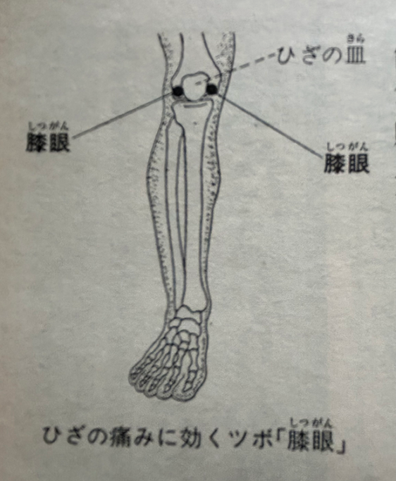 放電灸おすすめのポイント「漆眼のツボ」イラスト